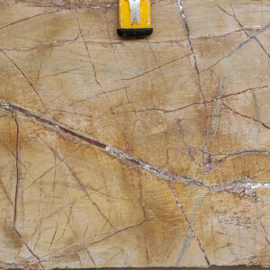 Rain Forest Gold
